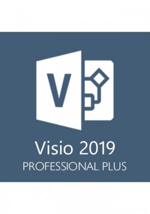 Visio Professional 2019 - 1 PC