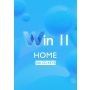 Win 11 Home - 100 Keys