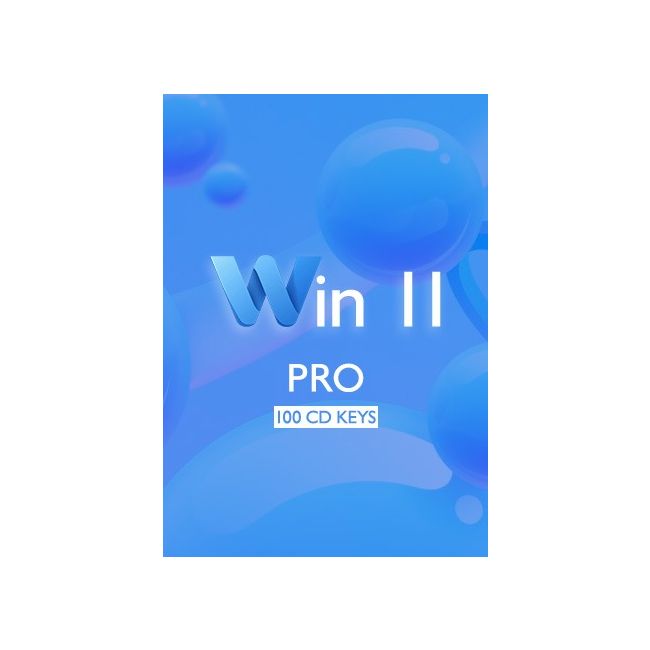 Win 11 Pro - 100 Keys