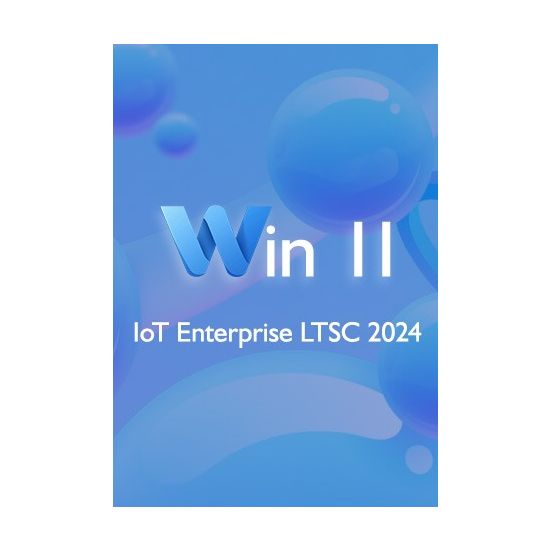 Win 11 IoT  Enterprise LTSC 2024  (1 PC)